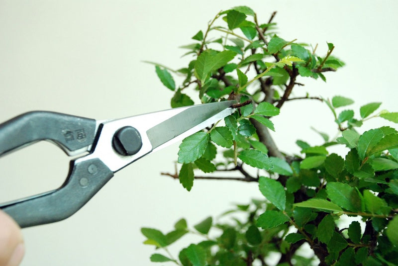Okatsune Heavy Duty Thinning Snips 207 Suitable for small branches